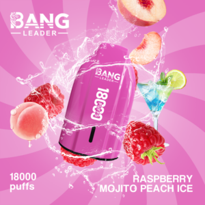 Bang Leader 18000 Raspberry Mojito Peach Ice