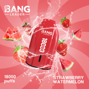 Bang Leader 18000 Strawberry Watermelon