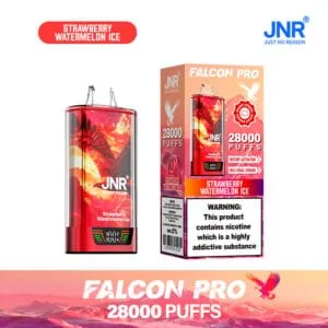 JNR Falcon Pro 28000 Strawberry Watermelon Ice