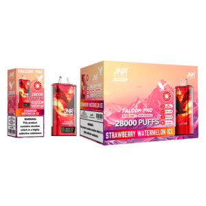 JNR Falcon Pro 28000 Strawberry Watermelon Ice