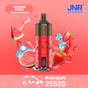 JNR Panda 25500 Strawberry Watermelon Ice