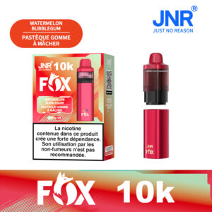 JNR Fox 10000 Watermelon Bubblegum