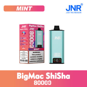 JNR Big Mac Shisha 80000 Mint
