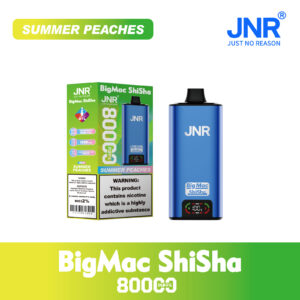 JNR Big Mac Shisha 80000 Summer Peaches