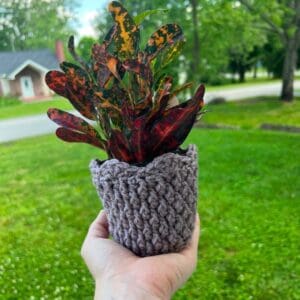 Brightly colored leaves in a cozy crochet pot.
