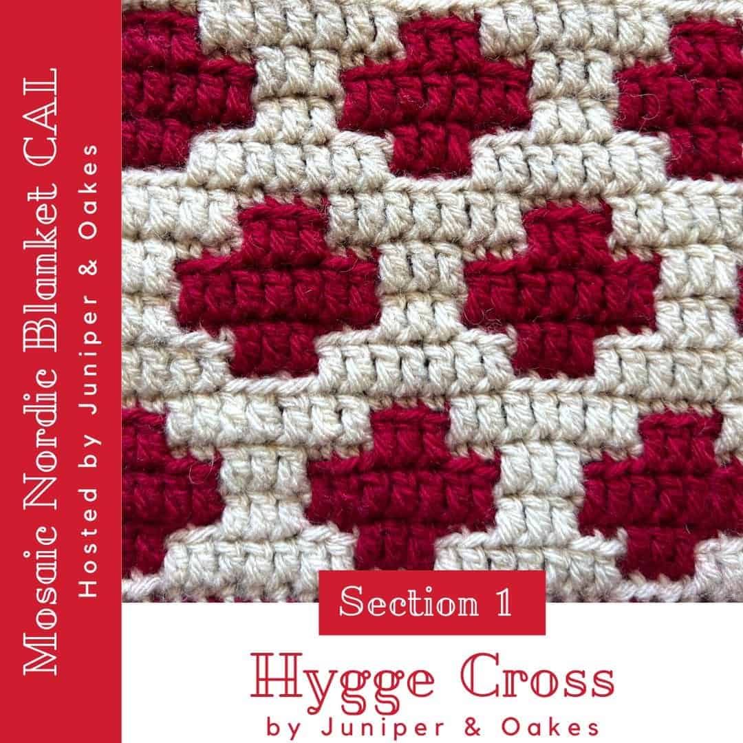 Close-up of crochet overlay mosaic pattern with cream and red yarns.