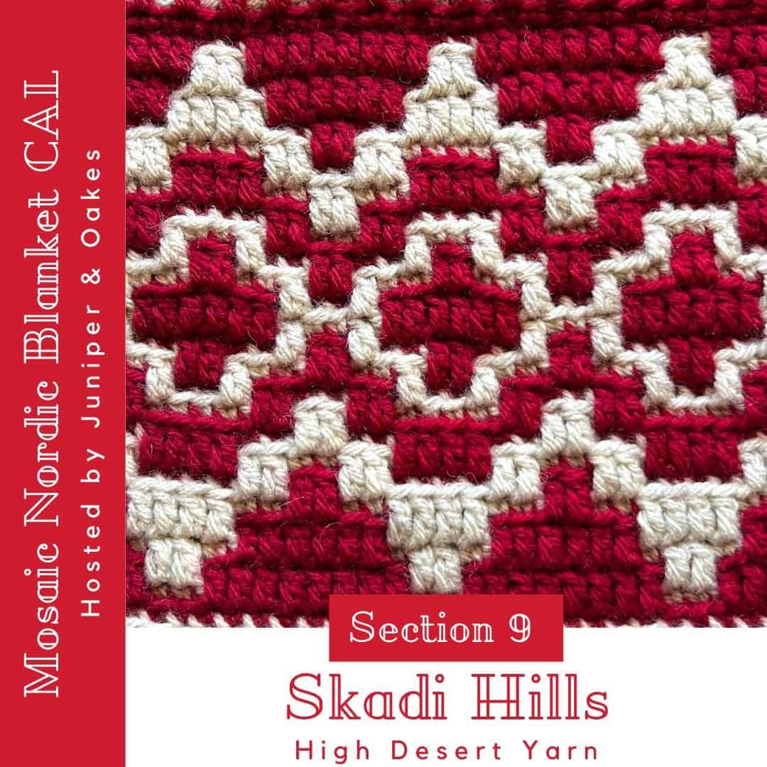 Close-up of crochet overlay mosaic pattern with cream and red yarns.