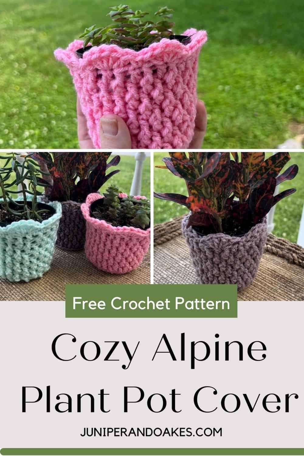 Pink crochet plant pot cover for alpine plants.