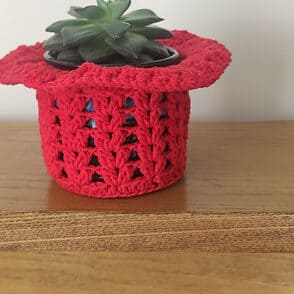 Succulent plant in a red crocheted pot, displayed on a wooden surface.