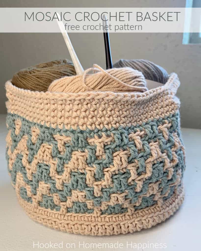 Mosaic Crochet Basket by Hooked on Homemade Happiness