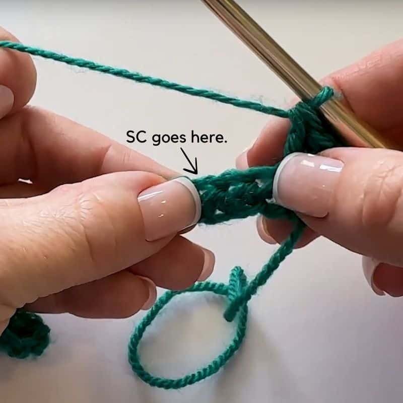 How to Crochet the Shell Stitch - Row 1-2