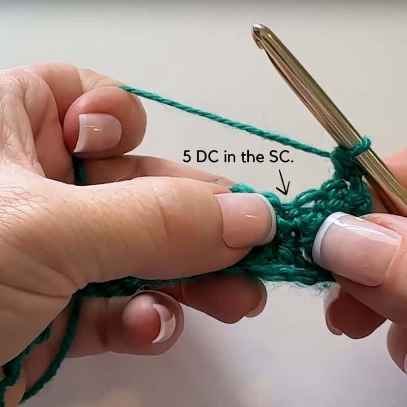 How to Crochet the Shell Stitch - Row 2-2