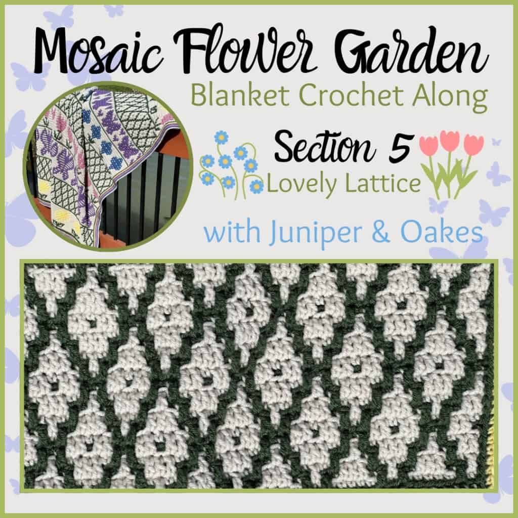 Mosaic Crochet Flower Blanket - Section 5