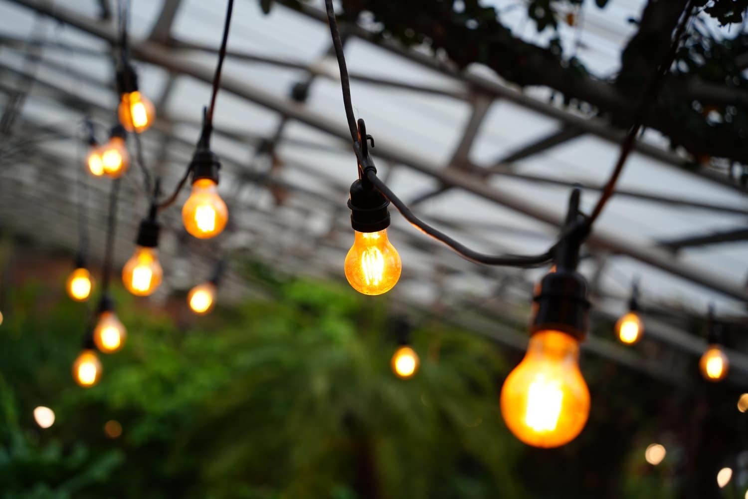 Festoon Lighting