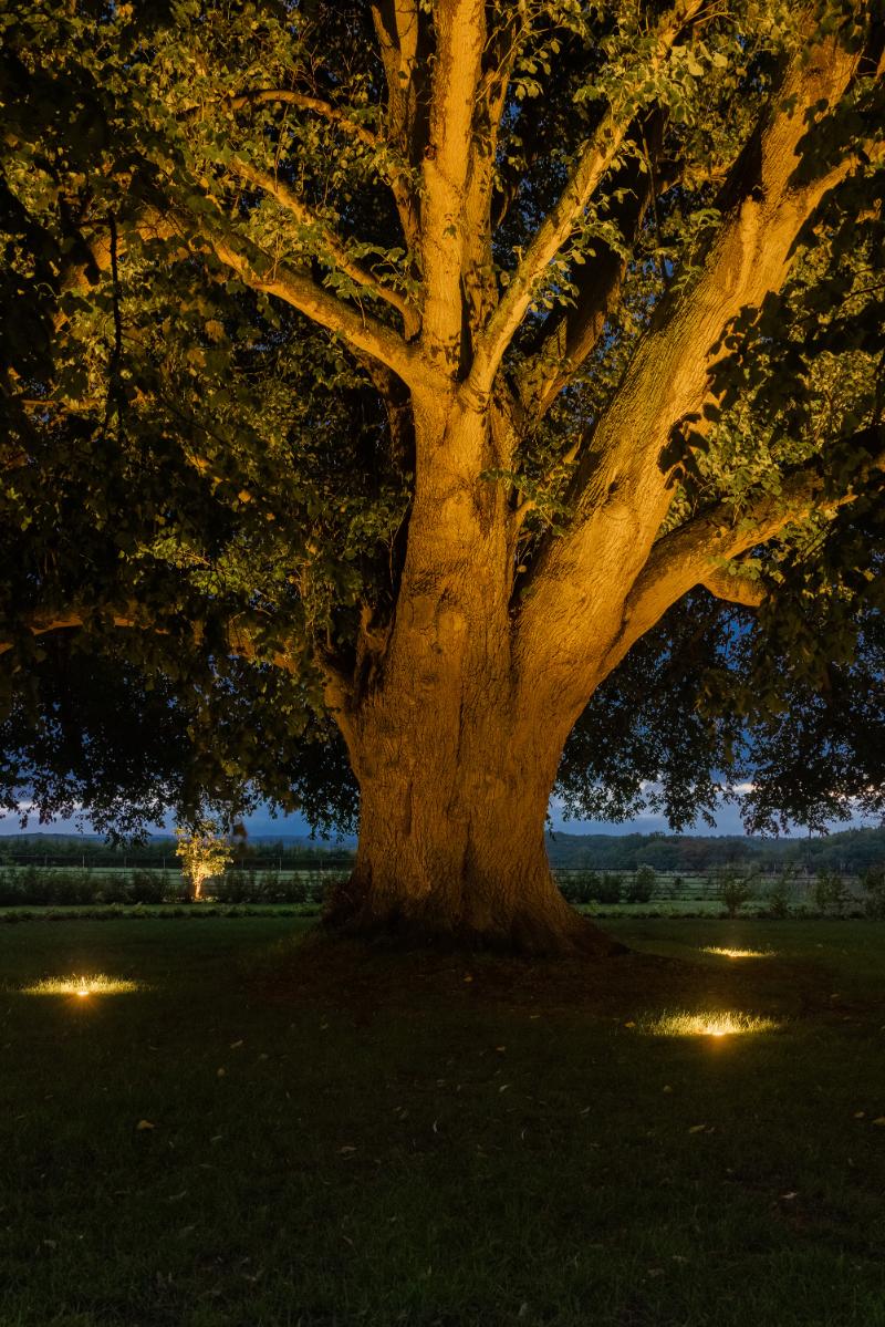 Chesham Manor House Garden lighting landscape