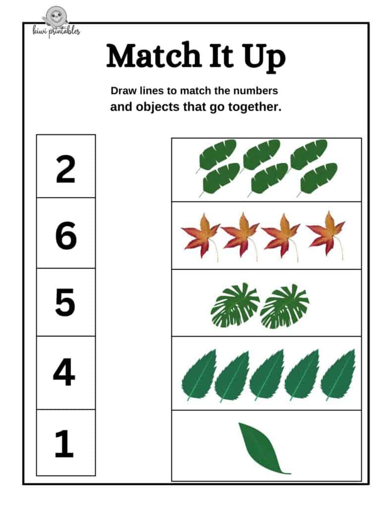 14-count-worksheet
