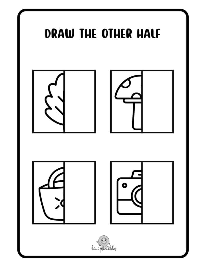 07-draw-other-half