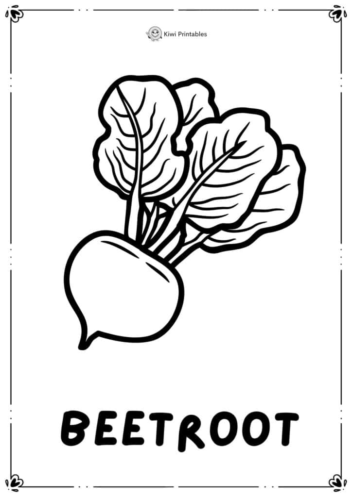 colouring-page-beetroot