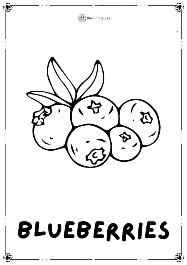 colouring-page-blueberries