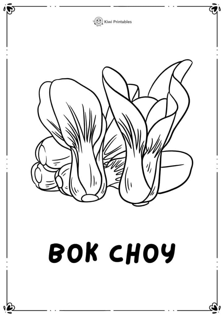 colouring-page-bok-choy