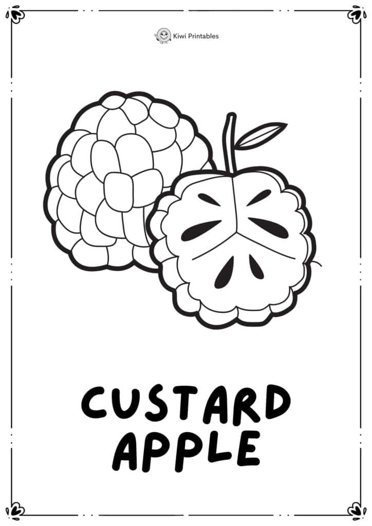 colouring-page-custard-apple