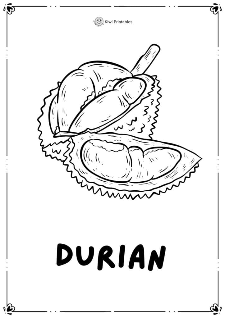 colouring-page-durian