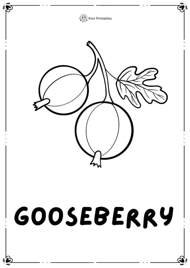 colouring-page-gooseberry