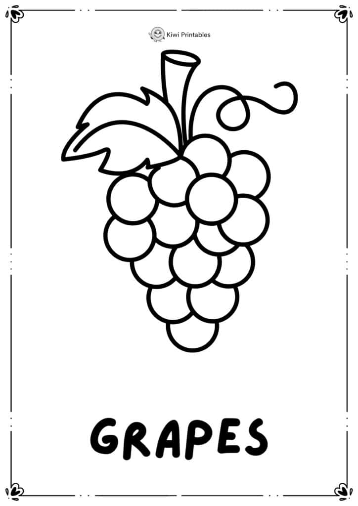 colouring-page-grapes