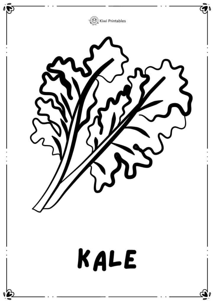 colouring-page-kale