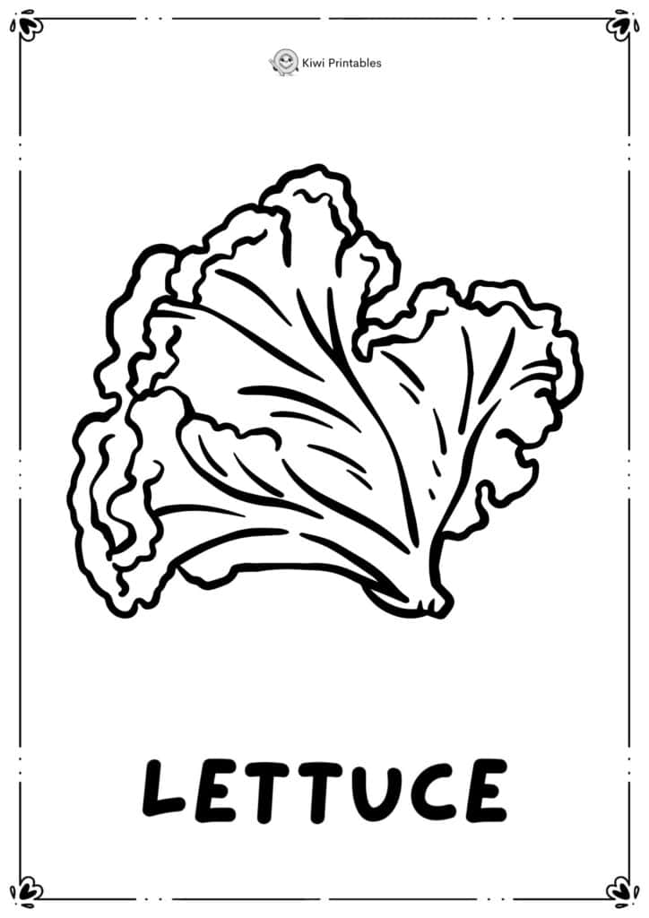 colouring-page-lettuce