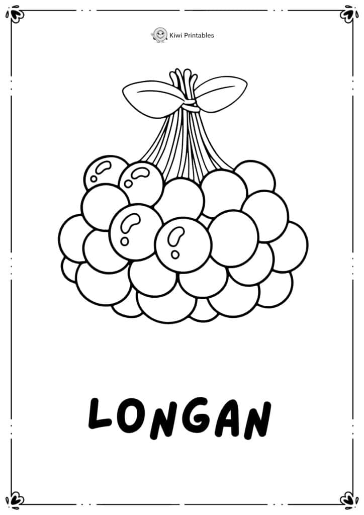 colouring-page-longan