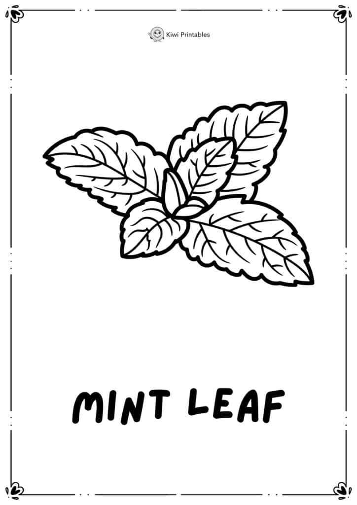 colouring-page-mint-leaf