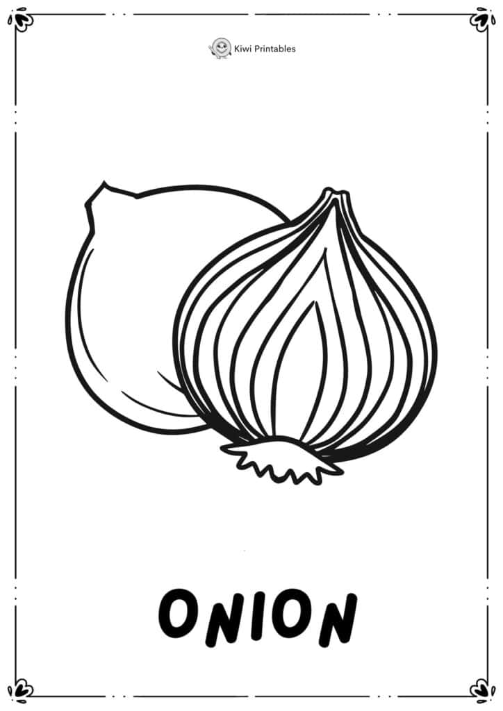 colouring-page-onion
