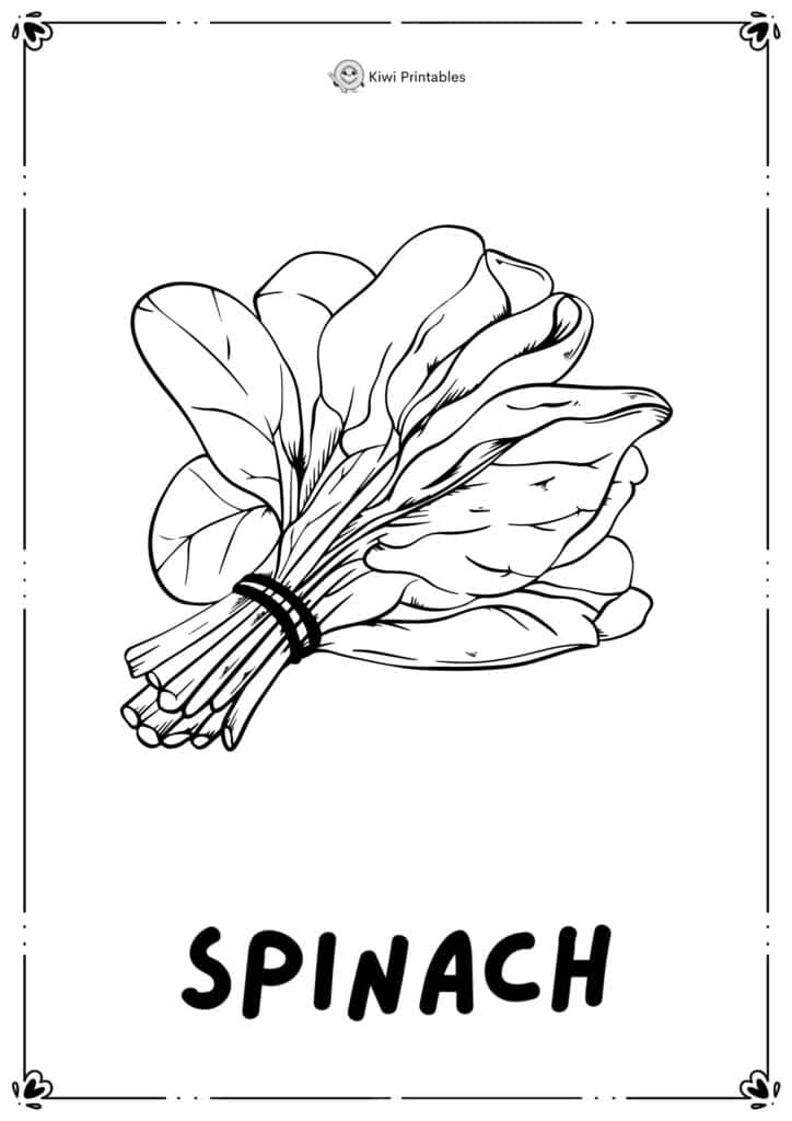 colouring-page-spinach