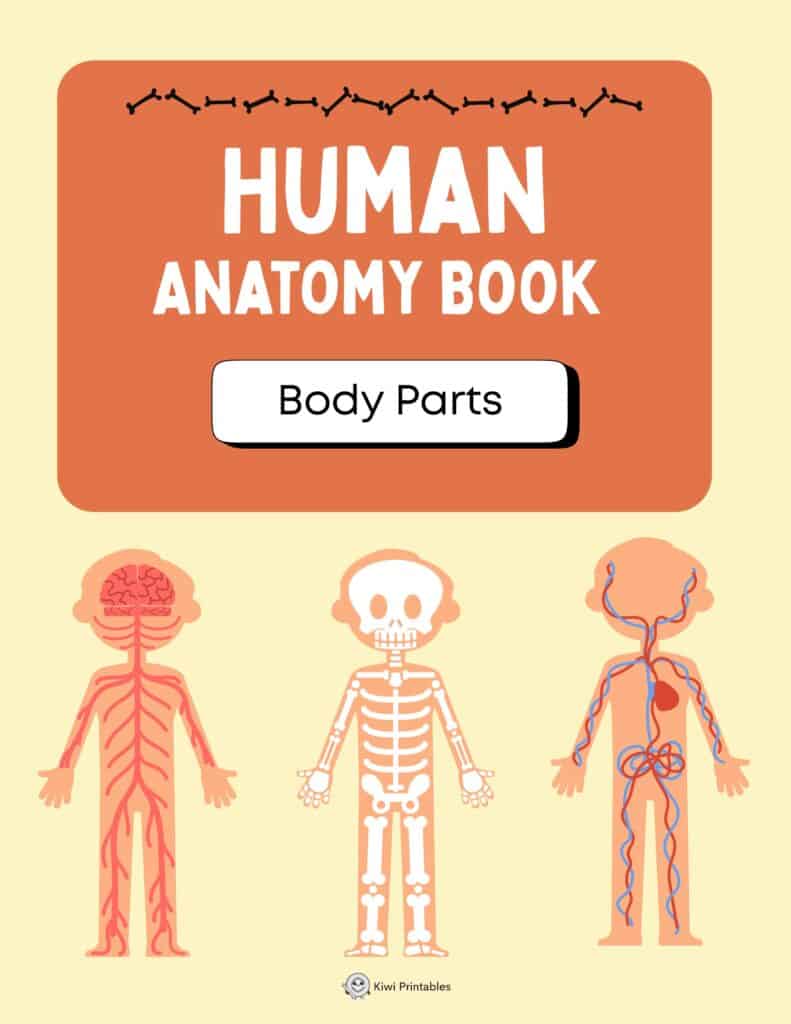 human-anatomy-book-01