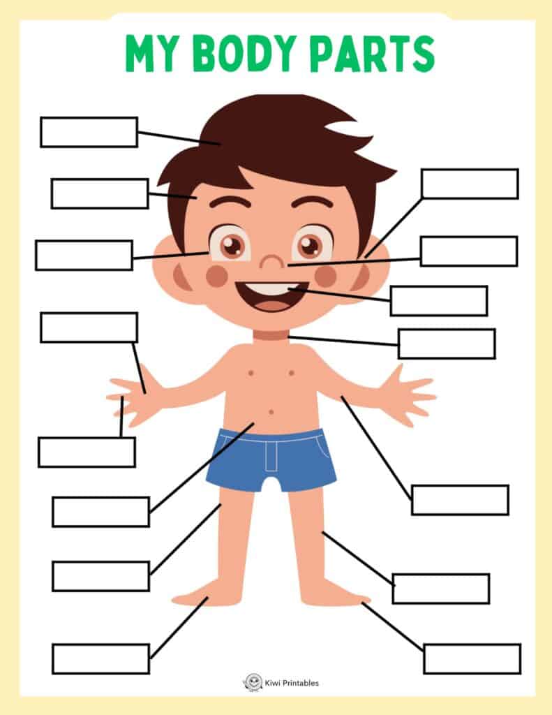 human-anatomy-book-03