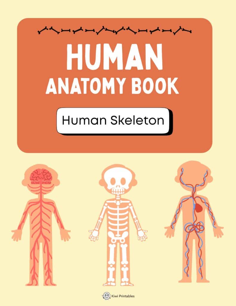 human-anatomy-book-11