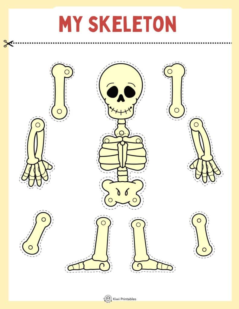 human-anatomy-book-15