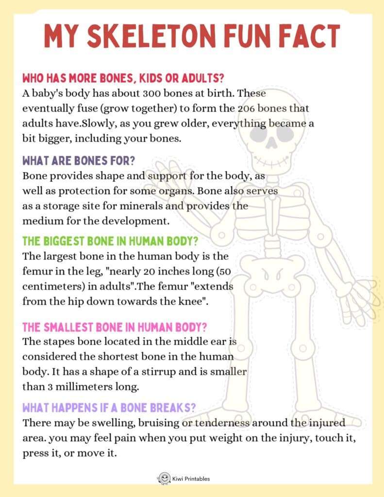 human-anatomy-book-19