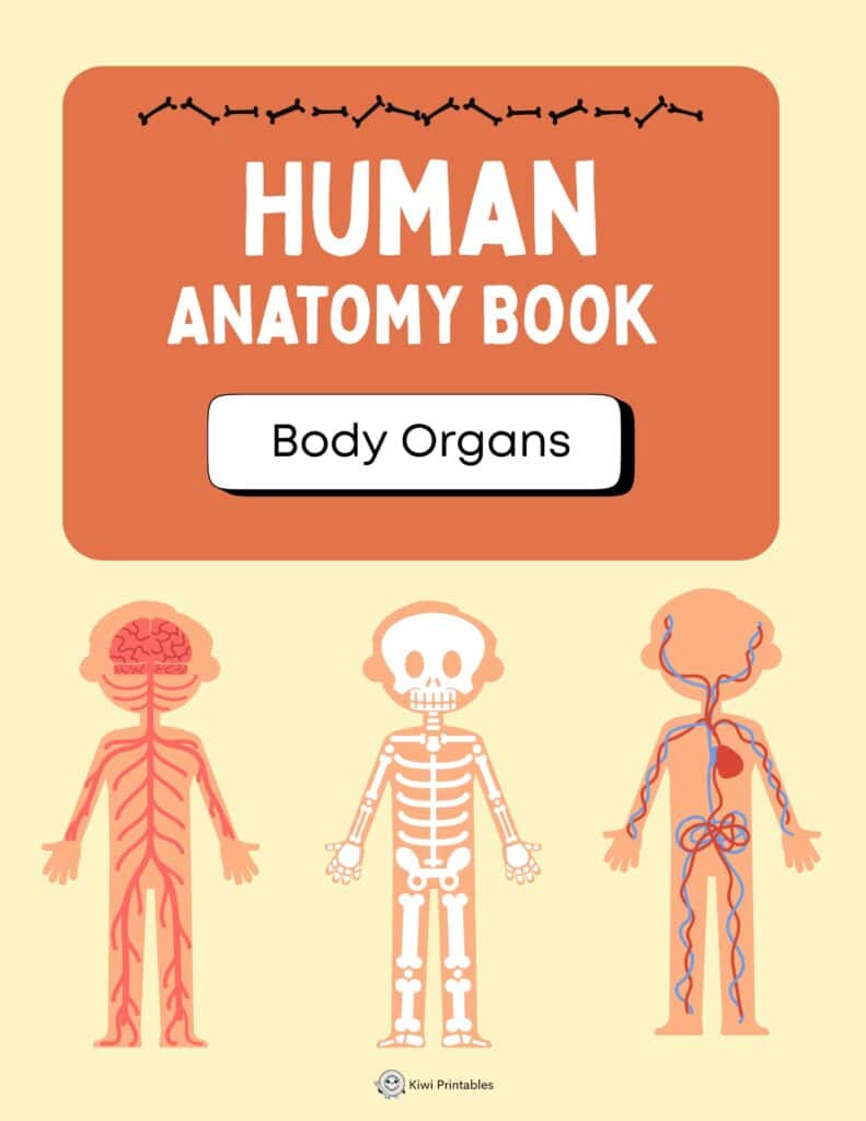 human-anatomy-book-20