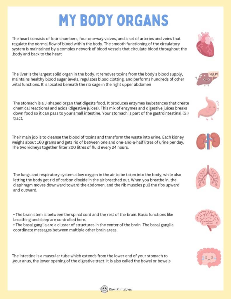human-anatomy-book-26