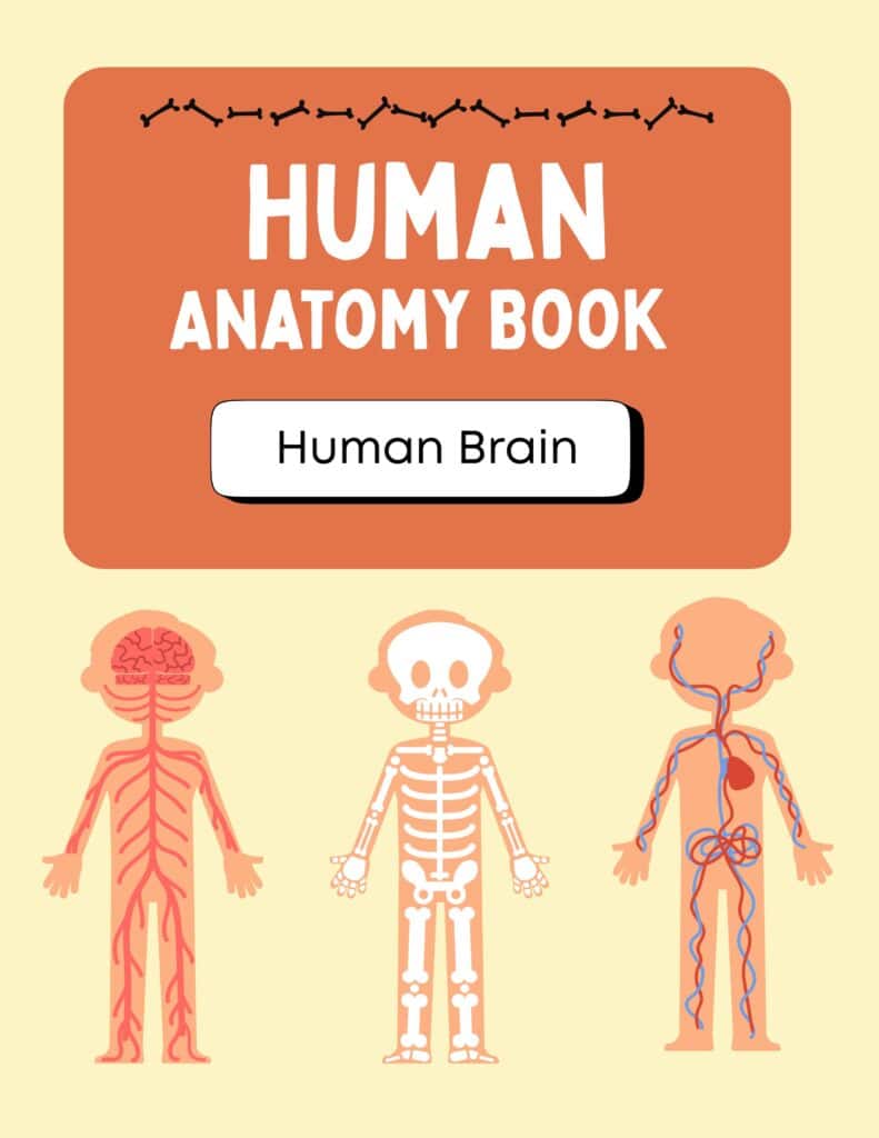 human-anatomy-book-41
