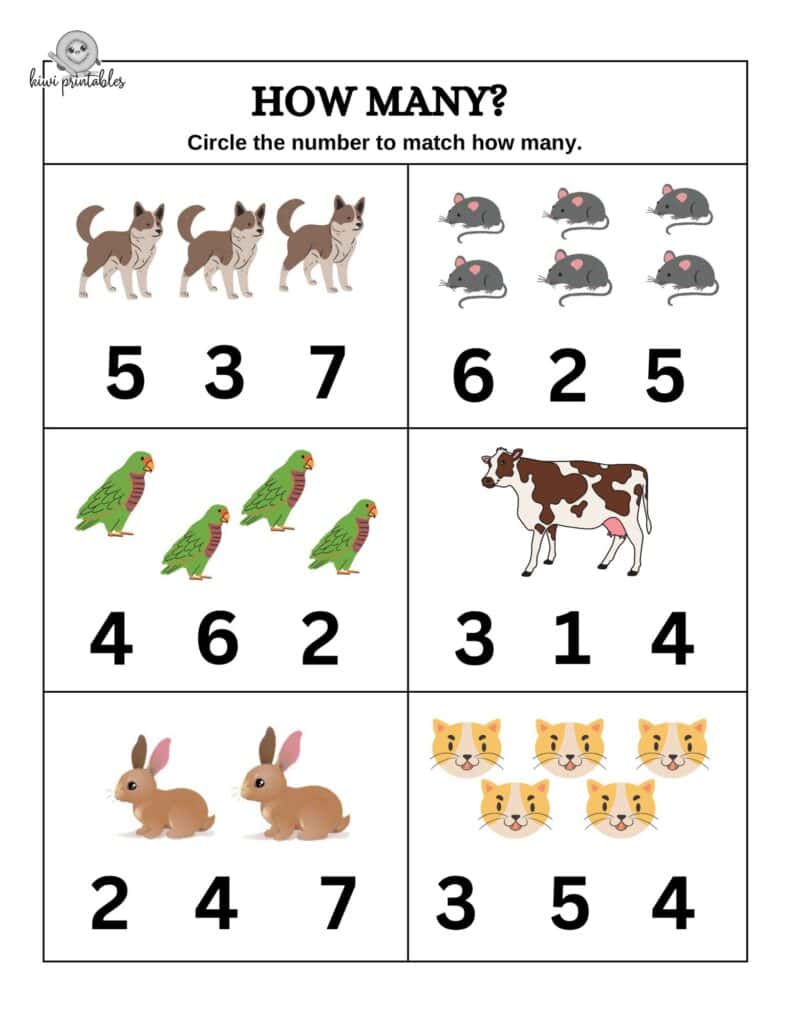 count-how-many-06