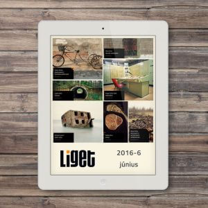 LIGET folyóirat | 2016 június