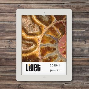 LIGET folyóirat | 2019 január