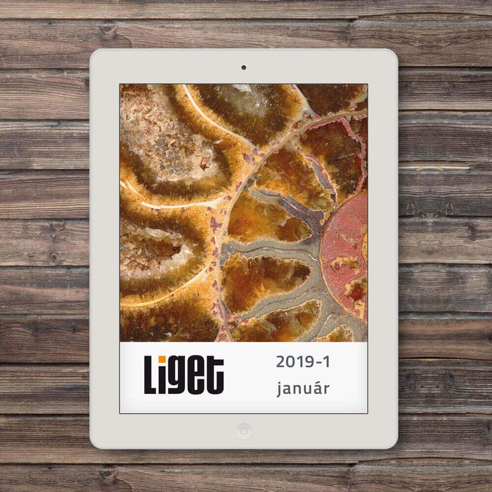 LIGET folyóirat | 2019 január