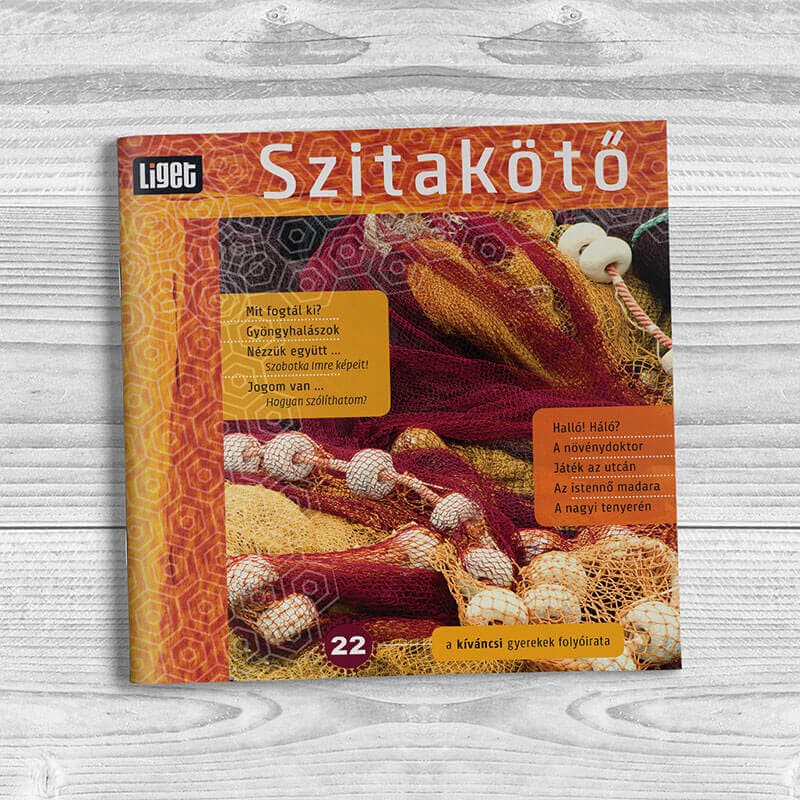 Szitakötő 2013-21 - Image 2
