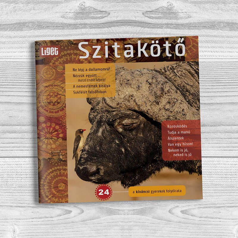 Szitakötő 2013-24