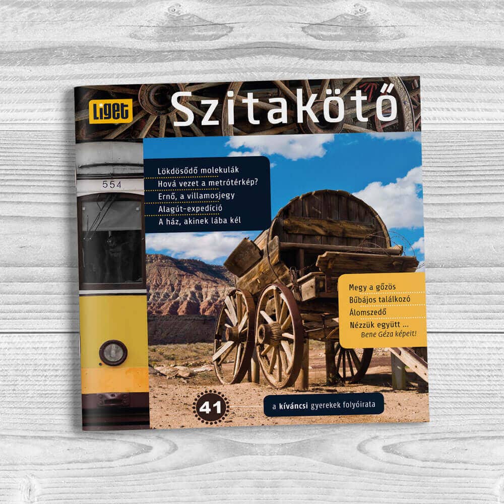 Szitakötő 2018-41