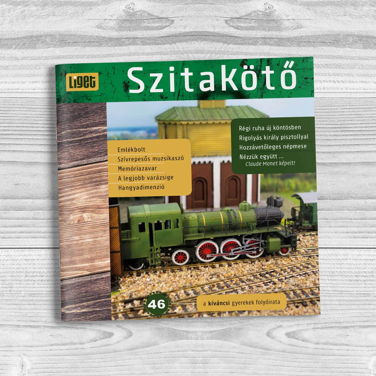 Szitakötő 2019-46